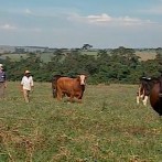 VIDA-NO-CAMPO-30-10-2011