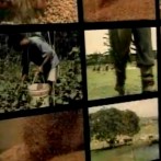 VIDA-NO-CAMPO---06.11.2011