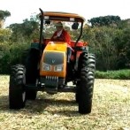 VIDA-NO-CAMPO---26.12.2011