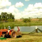 VIDA-NO-CAMPO---08.01.2012