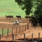 VIDA NO CAMPO - 05.02