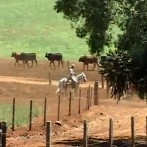 VIDA NO CAMPO - 11.03.2012