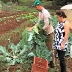 VIDA NO CAMPO - 17.06.2012