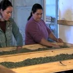 VIDA NO CAMPO - 09.09.2012