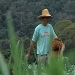 VIDA NO CAMPO - 07.10.2012