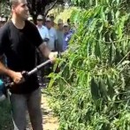 VIDA NO CAMPO - 18.11.2012