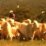 CANTA VIOLA SUL - 14.03.2012