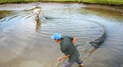 foto_5613_400,220,index