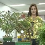 UNICENTRO TV 26.04.2013
