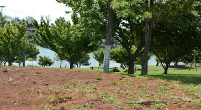 foto_10882_400,220,index