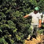 VIDA NO CAMPO - 26.02.2014