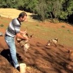 VIDA NO CAMPO - 26.03