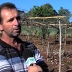 VIDA NO CAMPO - 21.05.2014