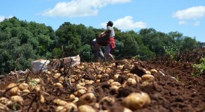 foto_12826_400,220,index