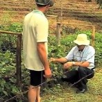 VIDA NO CAMPO - 02.06.2014