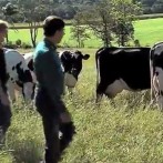 VIDA NO CAMPO - 08.06.2014