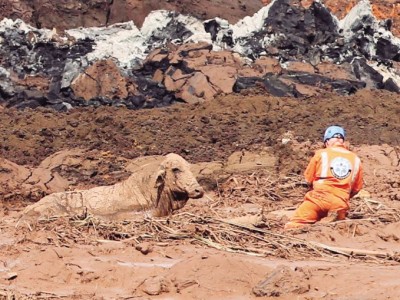 Brumadinho-Wilson-Junior-estado-825x509