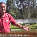 encontro 29